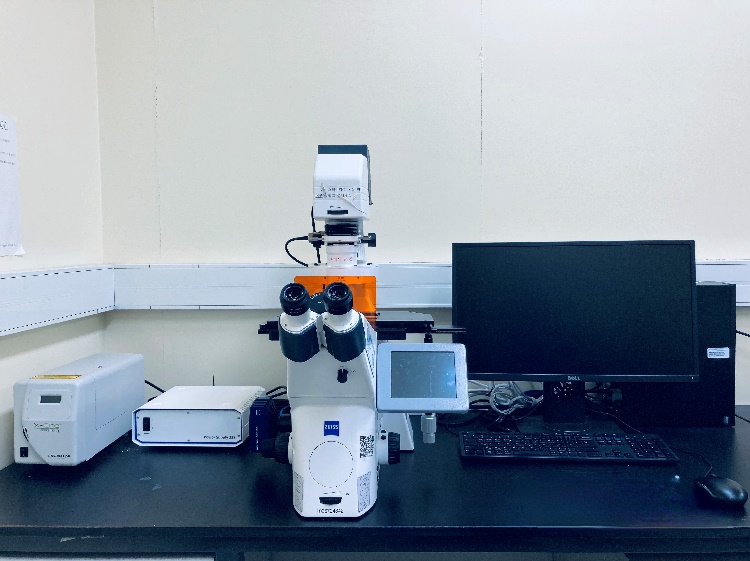 Fluorescence Microscopy (ZEISS)